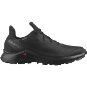 Buty męskie Salomon Alphacross 3 Gore-Tex