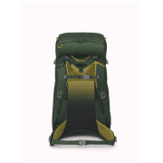 Plecak dziecięcy Osprey Ace 38