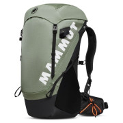 Plecak Mammut Ducan 30 Women szary/czarny jade-black