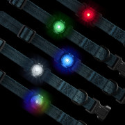 Światełko do obroży Nite Ize NiteDog™ Rechargeable Pet Light