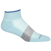 Damskie skarpety Icebreaker Women Multisport Light Mini niebieski haze/azul/metro hthr