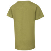 T-shirt dziecięcy Alpine Pro Nogero Green Oasis