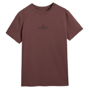 Koszulka męska 4F Tshirt M2961 brązowy DARK BROWN