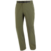 Spodnie męskie Salomon Wayfarer 2.0 Pants M zielony Grape Leaf