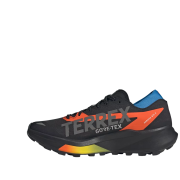 Męskie buty turystyczne Adidas Terrex Agravic Gtx 2