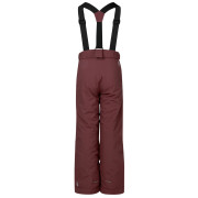 Dziecięce spodnie zimowe Dare 2b Outmove III Insulated Pant Huckleberry