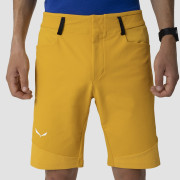 Męskie szorty Salewa Agner Dst M Shorts.