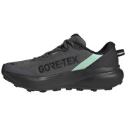 Damskie buty do biegania Adidas Terrex Tracefinder Plus Gtx