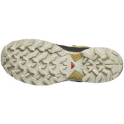 Męskie buty turystyczne Salomon X Ultra 360 GTX