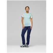 Spodnie damskie Norrona falketind flex1 light Pants