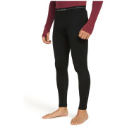 Męskie kalesony Icebreaker Men 300 MerinoFine™ Polar Leggings