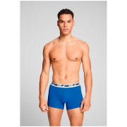 Męskie bokserki Puma Everyday Multi Logo Boxers 2P