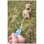 Smycz dla psa Curli Ultra Strong Pocket Leash