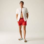 Męski strój kąpielowy Regatta Mawson Swim Shorts III