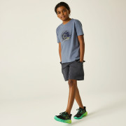 T-shirt dziecięcy Dare 2b Trailbazer III Tee Mercury