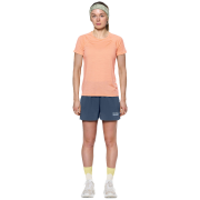 Koszulka damska Devold Endurance Merino 130 Tee Wmn