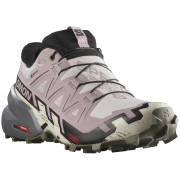 Damskie buty do biegania Salomon Speedcross 6 Gore-Tex czarny/różówy Ashes Of Roses / Black / Olive Night