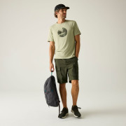 Spodenki męskie Regatta Arlery Shorts