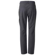 Spodnie dziecięce Dare 2b Rapid trouser Magnet
