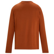 T-shirt dziecięcy Regatta Winter Alvarado Rooibos Tea