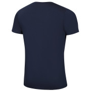 Koszulka męska Alpine Pro Lyor