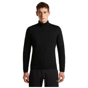 Bluza męska Icebreaker M Mer 400 RealFleece Descender LS Z