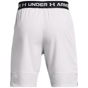 Spodenki męskie Under Armour Vanish Woven Shorts