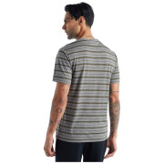 Koszulka męska Icebreaker Mens Wave SS Tee Stripe