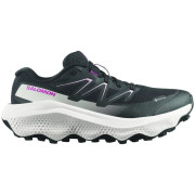 Damskie buty do biegania Salomon Ultra Flow 2 Gore-Tex