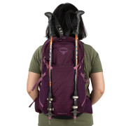 Plecak turystyczny Osprey Sportlite 25