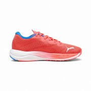 Damskie buty do biegania Puma Velocity Nitro 2 czerwony Fire Orchid-Ultra Blue