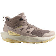 Damskie buty trekkingowe Salomon Elixir Activ Mid Gore-Tex