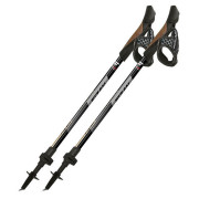 Kijek Nordic walking Fizan R-Evolution