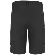 Męskie szorty Salewa Puez Dst M Cargo Shorts