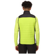 Kamizelka męska Regatta Halton BW VI