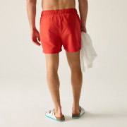 Męski strój kąpielowy Regatta Mawson Swim Shorts III