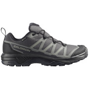Męskie buty trekkingowe Salomon Exraise Gtx szary Asphalt / Sedona Sage / Black
