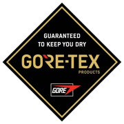 Łapawice Dakine Excursion Gore-Tex Mitt