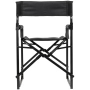 Fotel Brunner Aravel Director 3D