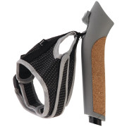 Kijki biegowe Axon AKTIV LOCK