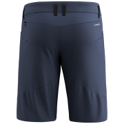 Męskie szorty Salewa Agner Dst M Shorts.