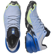 Buty do biegania dla mężczyzn Salomon Speedcross 6 GTX Icon