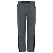 Spodnie dziecięce Regatta Sorcer Mountain Trousers VII Dark Storm szary Dark Storm