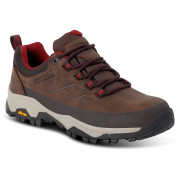 Buty damskie Regatta Womens Blake Low