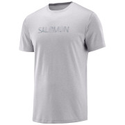 Koszulka męska Salomon Agile Graphic Tee M zarys Flintstone