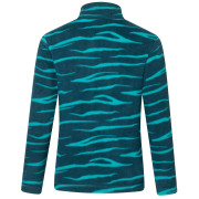 Bluza dziecięca Regatta Hot Shot II MeditZebra