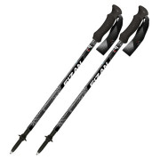 Kije trekkingowe Fizan Compact MS