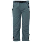 Spodnie dziecięce Regatta Sorcer Mountain Trousers VII szary StormyWeathr
