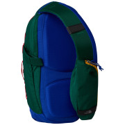 Plecak na jedno ramię The North Face Borealis Sling