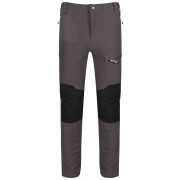 Spodnie męskie Regatta Questra II zarys Magnet/Black